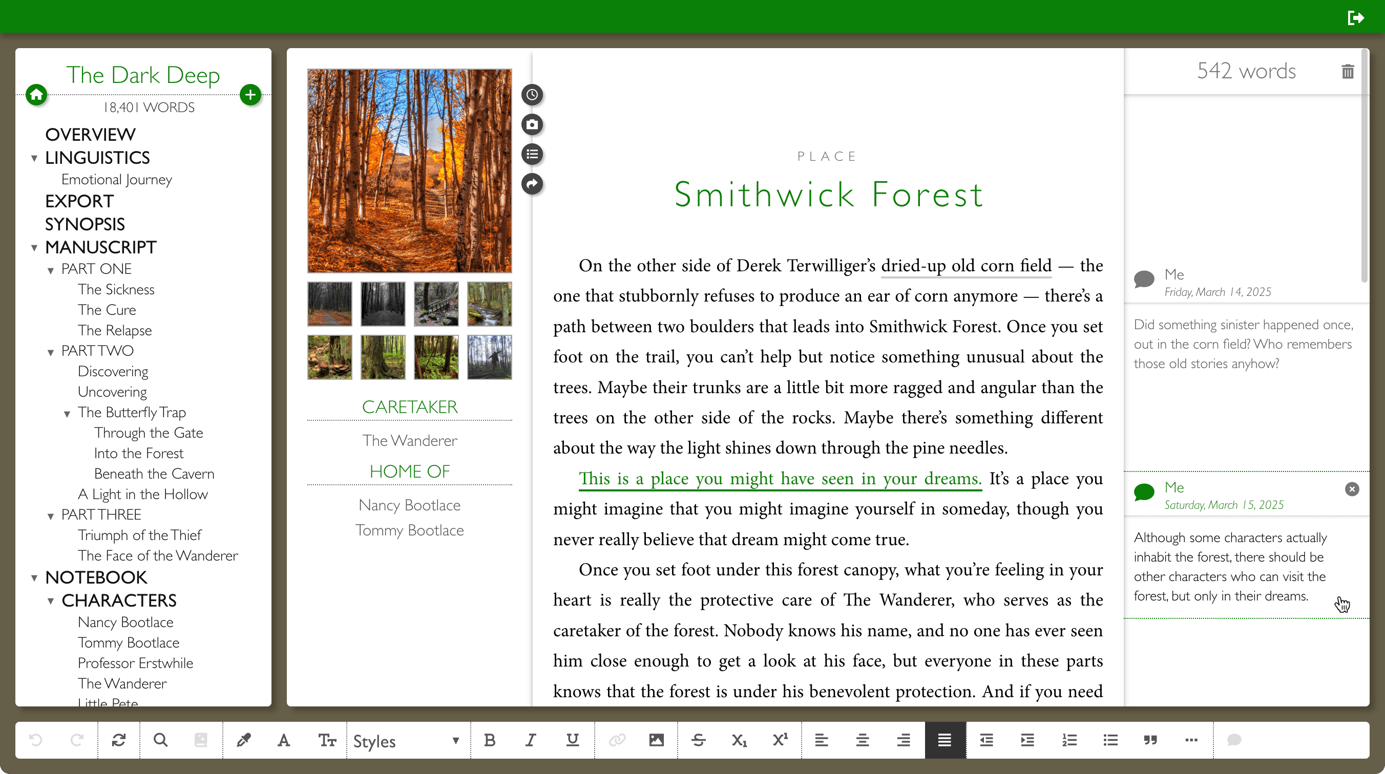 Salinger theme screenshot 3